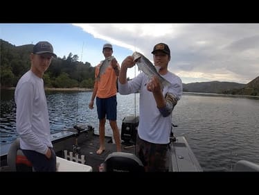 Stripers and Country Music (Limits on Silverwood Lake)
