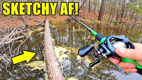 Fishing World's Most DANGEROUS Pond! (Middle of the Woods)