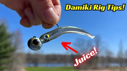 Damiki Rig Tips I’ve Learned from the Pros!