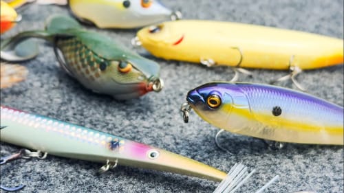 Don't Miss The Best Topwater Bite Of The Year! (Late Summer Topwater Tricks)