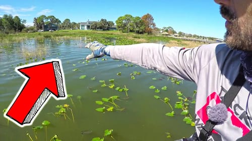 FISHING SWIMBAITS like TOPWATER LURES for SPAWNING BASS (MUST TRY COOL TECHNIQUE 😳)