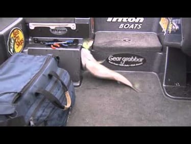 Alabama River Charge's Day Three with Brent Chapman
