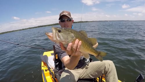 Drop Shotting for Bass on Points