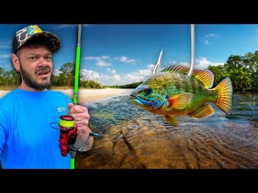 Chasing GIANT River Fish with Cut Bait!