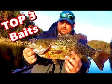 Top 3 Baits October For That CAN'T MISS!