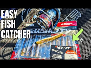 This Lure ALWAYS Catches Fish (Cold Water FAVORITE!)