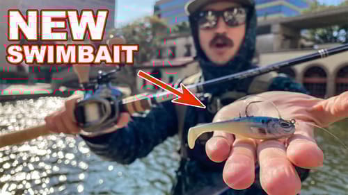 A QUICK Look At the NEW AGENT E Swimbait By Berkley 2022