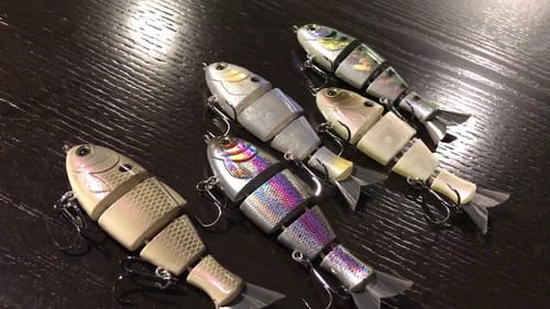 Baby Bull Shad for Fall