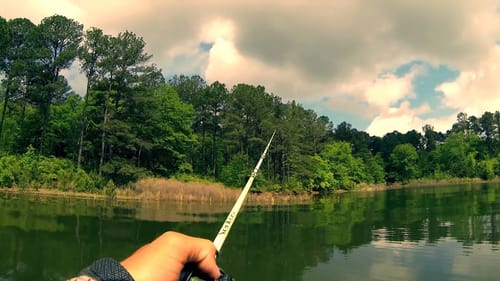 Frog Fishing with "Chesty"