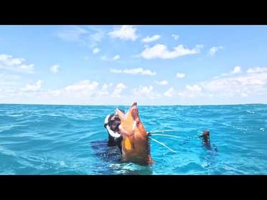 Best CATCH & COOK Ever - Ft. Key West Waterman & Cooking With Clams