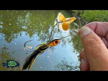 This Little BuzzBait gets Crushed