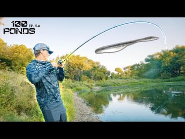The Pond Lure That NEVER Let's Me Down! (100 Ponds Ep. 54)