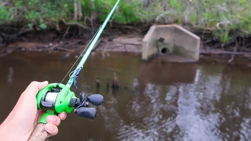 This POND is LOADED w/ HUGE Bass (Bed Fishing)