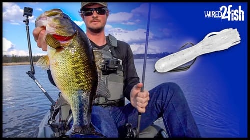 How to Bass Fish with Weightless Tubes - Deadly Spring Trick‼️
