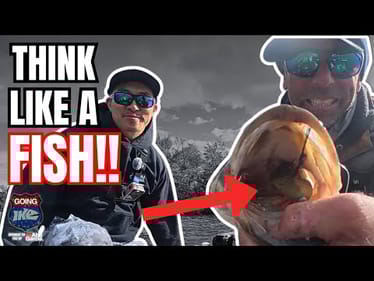 🔥 The Best Finesse Fisherman I Know | Testing the NEW Flux Gill w/ BFS Jimmy RAWR 🦁