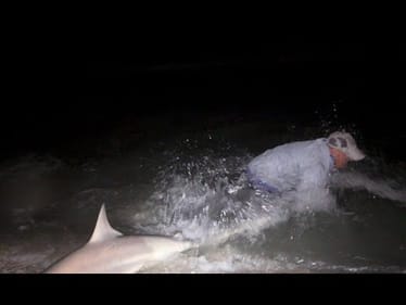 Shark Release Fail