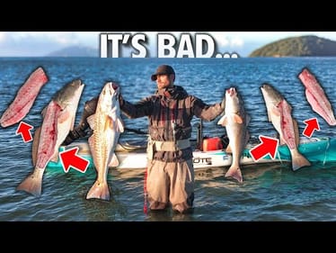 The ONLY Bad Thing About Fishing - Do You Agree?