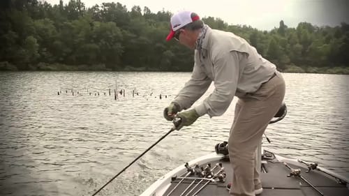 Buzzbait Tricks for Bass