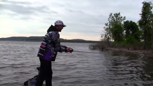 Why to Vary Crankbait Retrieves