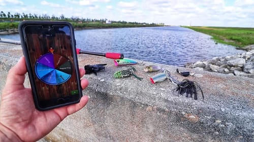 MASSIVE Alligator RUINS Spin Wheel Fishing Challenge!