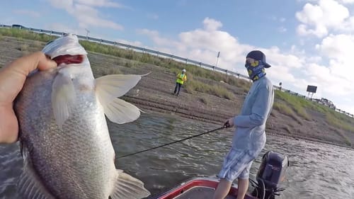 Giving a Man a Fish