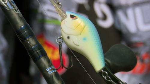 How To Catch Big Bass In Muddy Water | Bass Fishing