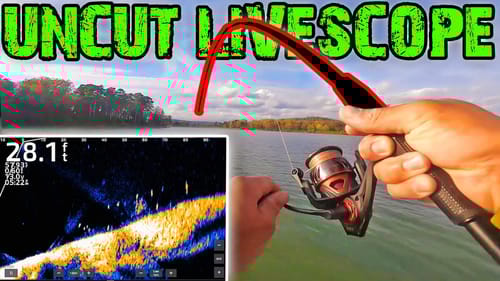 UNCUT LIVESCOPE BASS FISHING! Watch It ALL GO DOWN! (LS FOOTAGE)