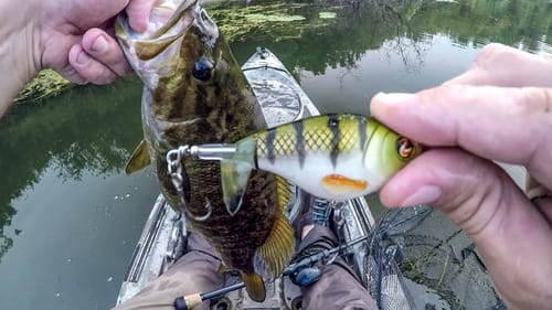 Whopper Ploppin’ Crazy Smallies!