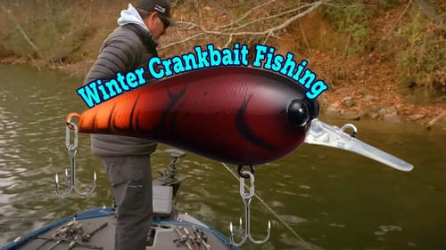 Crankbait Bass Fishing Tips : Winter Crankin'