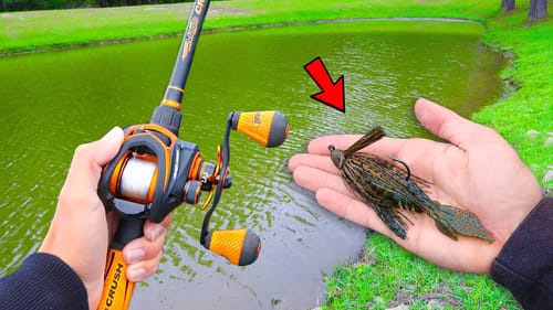 Catching GIANT Bass on BIG Jigs (Lake Fishing)
