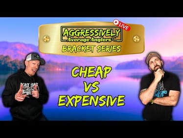 Cheap Vs Expensive Lures: Bracket Series Showdown!