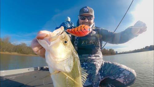 Fishing Tricks For Tough Days! (Cold Weather, Falling Water, Winter Pool, Can't Get Bit)