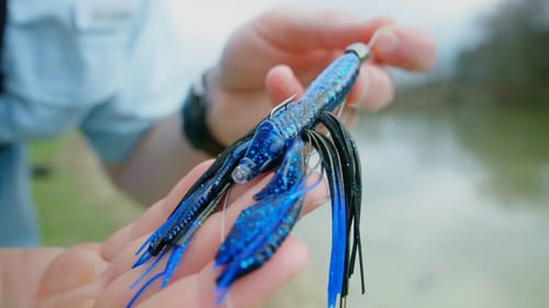 This WEIRD Lure Catches Nice Bass!