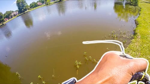 FISHING RESIDENTIAL PONDS