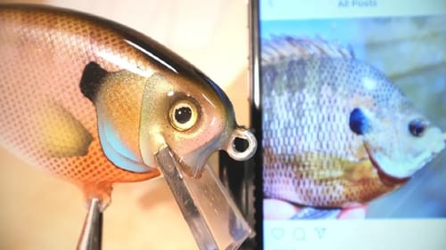 Painting the $100 CrankBait