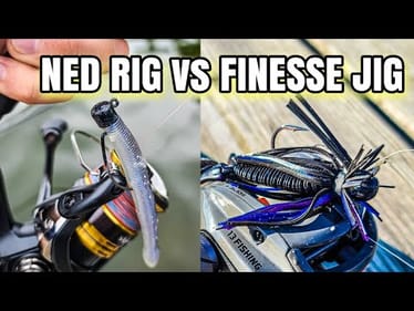 Jig vs Ned Rig | 1v1 Bank Fishing Challenge