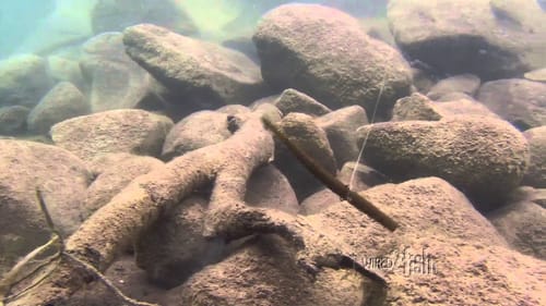 Various ways to Present Wacky Rigs for Bass Fishing