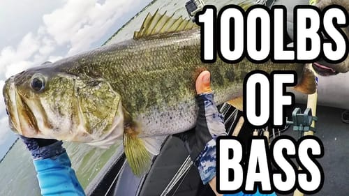 The B Team ~100lbs Bag of Bass in 1 Fishing Day??!!