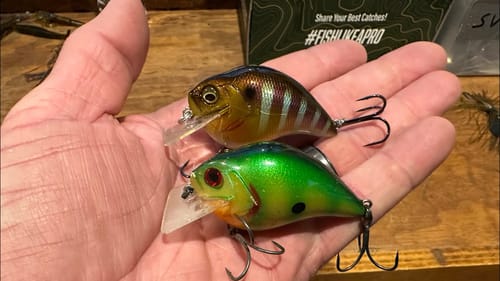 I Can’t Believe I’m Telling You About The Prespawn Perch Pattern Secret…