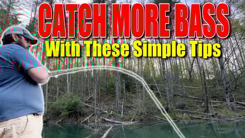 Swim Jigs Win Post Spawn Tournaments So Do This Now