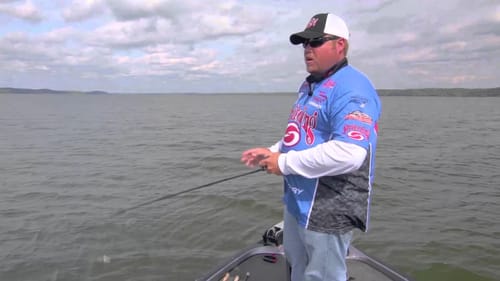 Fishing Spinnerbaits and Topwaters for Late Fall Bass