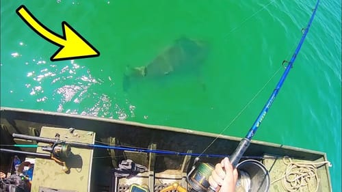 SIGHT FISHING this CLEAR WATER MONSTER!!