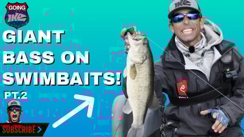 GIANT BASS on SWIMBAITS! (PT.2)