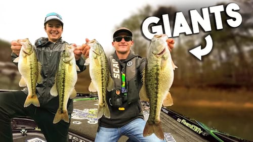 Fishing For GIANT Winter SPOTTED BASS