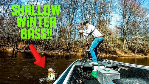 You WILL NOT Believe How SHALLOW These WINTER Bass Are!!! || Winter River Fishing