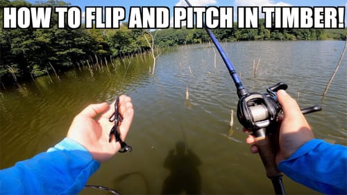 How to Flip and Pitch for Big Bass in Standing Timber! (Bass fishing tips)