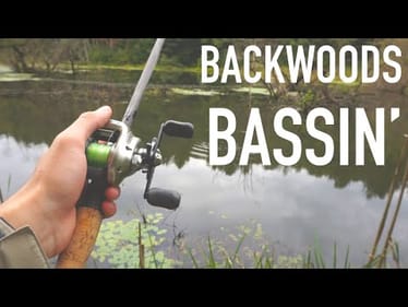 Backwoods Bass Fishing (PB Ohio Bass) -- Bass Daily #5