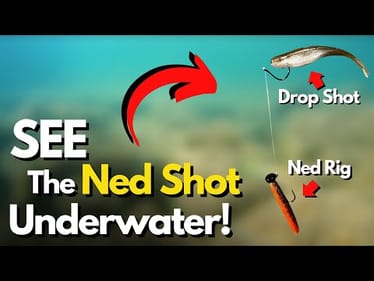 What REALLY Happens With a Ned Shot? (Underwater!)