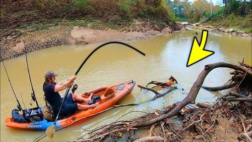100 LB MONSTER in a CITY CREEK?! (INSANE)