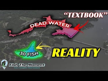 The Bass Fishing Textbooks are WRONG About this Common Fishing Myth